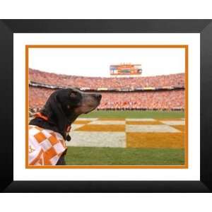  Replay Photos 008039 L Tennessees Smokey at NEyland 