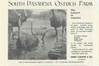 1899 Ad, CAWSTON Ostrich Farm SOUTH PASADENA California  
