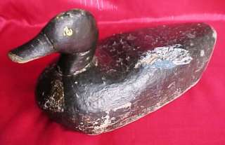 Vintage   Wooden   Wood   Black Duck   Decoy   Tack Eyes   Handmade 