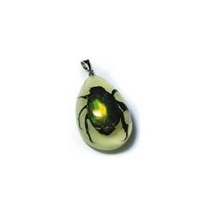  Glow in the Dark Green Chafer Beetle 2 Toys & Games