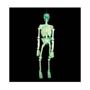   Skeleton   5 Foot Full Boned Glow in the Dark Skeleton