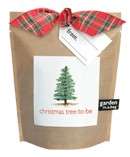 christmas tree to be scotch pine pinus sylvestris guadarrama your