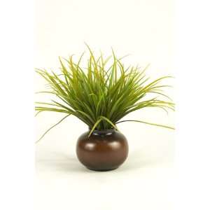  Grass In Brown Pot 
