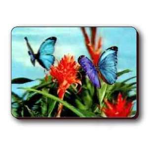 3D Lenticular Magnet   Butterfly 