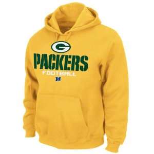  Green Bay Packers Critical Victory Hooded Sweatshirt 