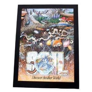  Discovering Soil Poster