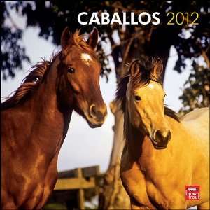  Caballos / Horses 2012 Wall Calendar