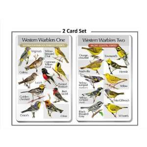   Warblers (2 cards) (Optics, Cameras, Bird Calls) 