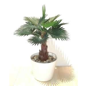  13 Fan Palm, Artificial Plant