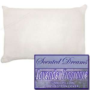 Scented Dreams Lavender Fragrance Aromatherapy Pillow WhiteJumbo 