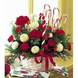  Candy Cane Basket   Same Day Delivery Available Patio 