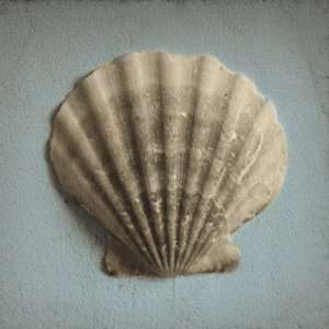 Seashell Study II Poster by Heather Jacks (12.00 x 12.00)