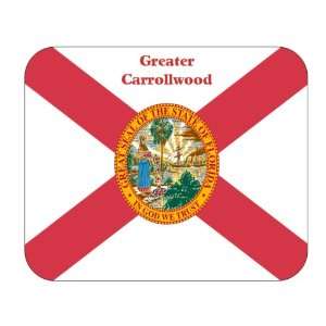  US State Flag   Greater Carrollwood, Florida (FL) Mouse 