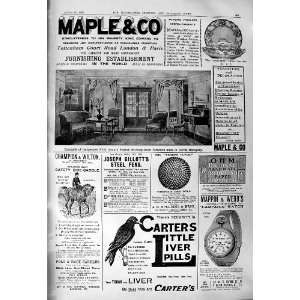   Advertisement Maple Furniture Carters Liver Pills Mappin Webb Saddles