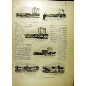  1903 Horse Race Steeplechase Mange Menu French Print