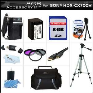  8GB Accessory Kit For Sony HDR CX700V Handycam HD 