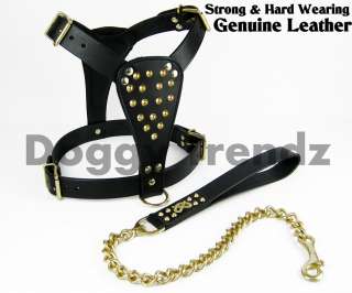   BULL TERRIER LEATHER DOG HARNESS & BRASS CHAIN LEAD STAFFY  