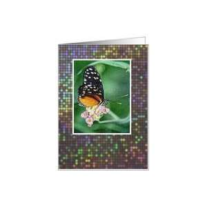  Blank Card   Tropical Butterfly Card Health & Personal 