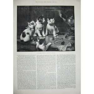  1889 Reichert Fine Art Kittens Tea Pot Table Animals