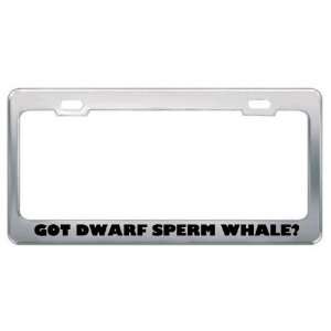 Got Dwarf Sperm Whale? Animals Pets Metal License Plate Frame Holder 