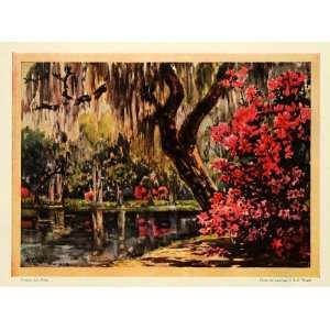 1925 Print Magnolia Plantation Gardens Charleston South Carolina A. C 