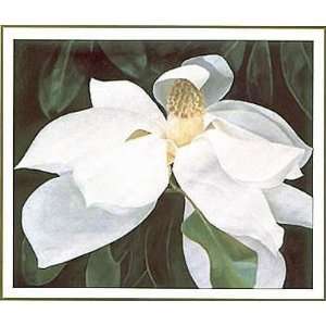  Magnolia Study Poster Print