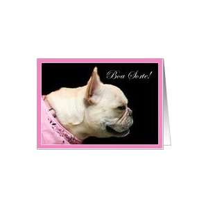  Boa Sorte Good Luck French Bulldog Card Health & Personal 