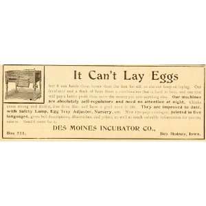   Incubator Chicks Chicken Egg   Original Print Ad