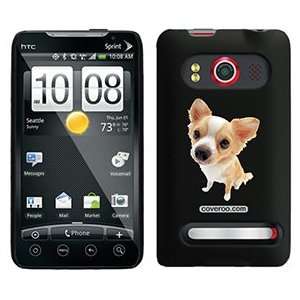 Chihuahua on HTC Evo 4G Case  Players & Accessories