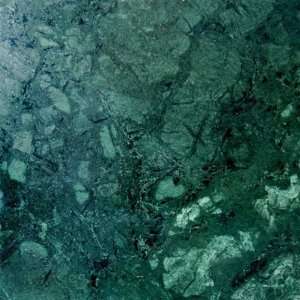 Montego Sela Dark Green 12 X 12 Polished Marble Tile (10 