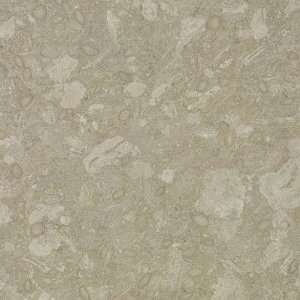  Armstrong MODe   Stone 12 x 12 Cerro Stone Soft Green 
