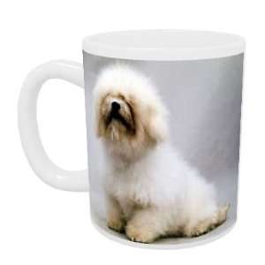  Shaggy dog story   Mug   Standard Size