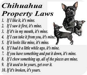 BLACK CHIHUAHUA DOG PROPERTY LAWS   COMPUTER MOUSE PAD  