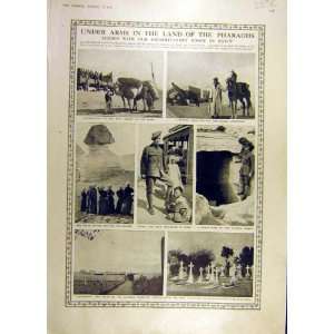1916 Egypt War Ww1 Red Cross Arab Smuts Africa Print 
