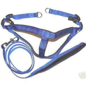 Padded Step in Dog Harness and Leash Set Size Small 15 in to 20 in 
