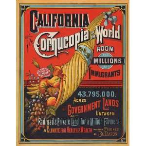  CALIFORNIA CORNUCOPIA OF THE WORLD FRUITS VEGETABLES FARMS 