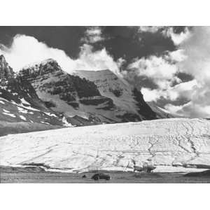  Glaciers and Icefields Seen Along Columbia Icefield 