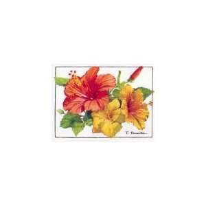  Hawaiian Note Card   Hibiscus   Blank   Pack of 3 Health 