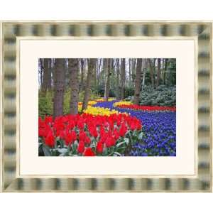    Picture Frame Silver Wave Compo  2 wide