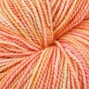  Madelinetosh Tosh Sock [coral] Arts, Crafts & Sewing