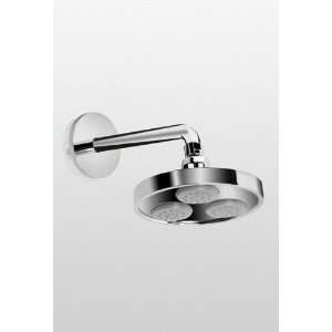   Swivel Shower Head with Rubber Nozzles from the Tri