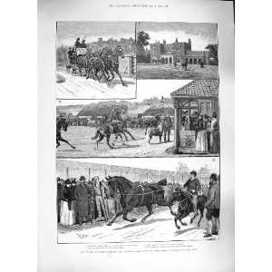   1889 PRINCE WALES WALTER GILBEY SHIRE HORSES ELSENHAM