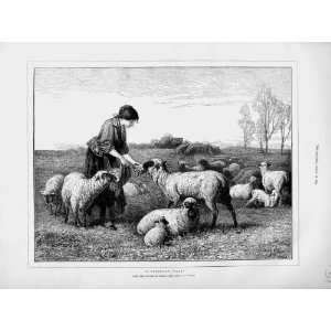 1873 Watson Fine Art Young Girl Sheep Lambs Farming 