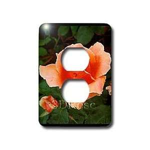 Flowers   Coppery Peach HT Rose   Light Switch Covers   2 plug outlet 