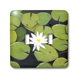 Patricia Sanders Flowers   Lily Pads with Flower Floral Photography 