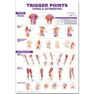 Trigger Points Giant Chart  Industrial & Scientific