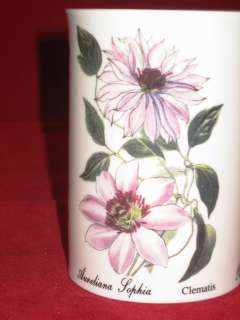 DUNOON Fine Bone China OSBORNE England Botanical Coffee Tea Mug Cup 
