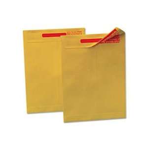  Reveal N Seal Catalog Envelope, 10 X 13, Light Brown, 100 