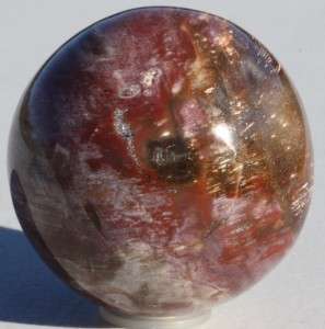   Petrified Wood Orb Fossil Sphere Agatized Poducarpus Crystal Ball
