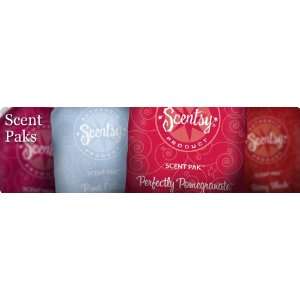 Scentsy Scent Pak Embers